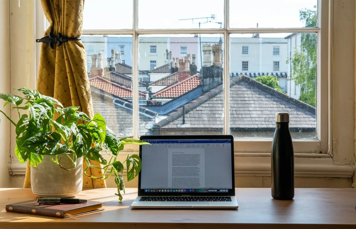 A laptop, notebook, and leafy plant on a sunlit desk by a window
